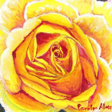 Yellow Rose Carolyn Almendarez