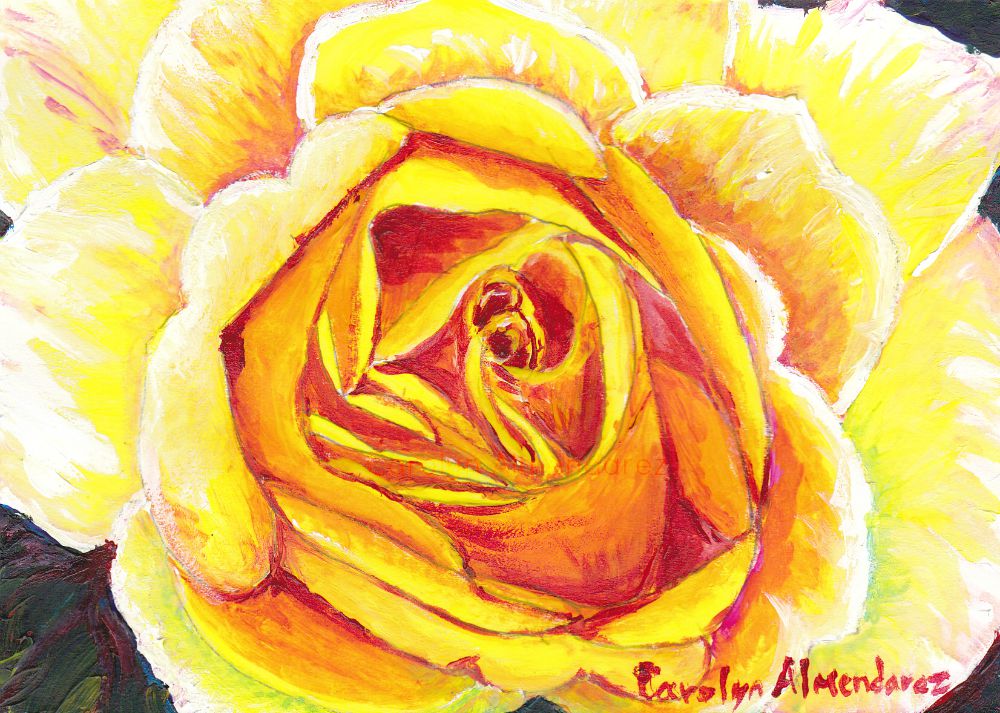 Yellow Rose Carolyn Almendarez